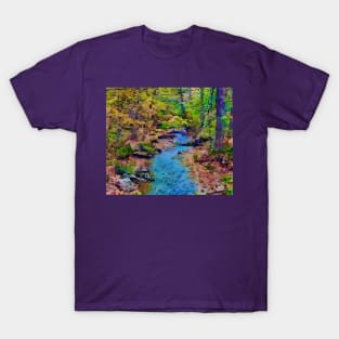 Pretty little mountain stream T-Shirt